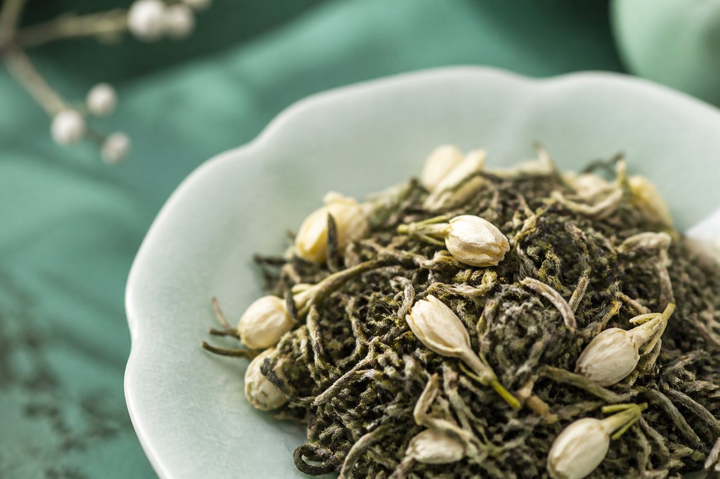 多窨茉莉